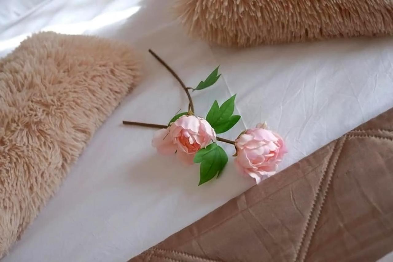 Sevi's Luxury Ioannina
